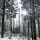 Karin na vrcholu Velká Čantoryje (24.1.2021 11:37)