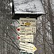 Janča na vrcholu Velká Čantoryje (24.1.2021 11:49)