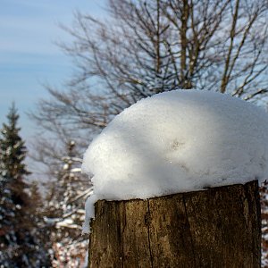 Czylok Pavel na vrcholu Kotař - Salaš (3.3.2018 13:33)