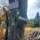 Ila na vrcholu Kotař - Salaš