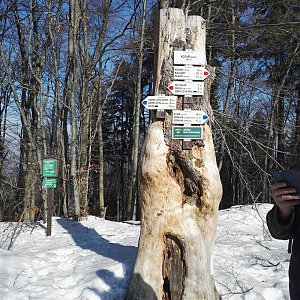 Lenka na vrcholu Kotař - Salaš (19.2.2019 14:17)