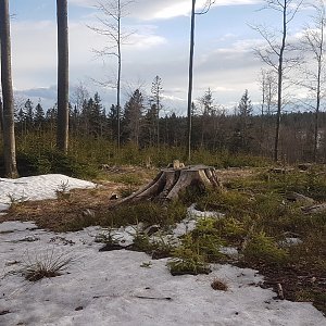 JezMax na vrcholu Babí vrch (7.4.2022 18:17)