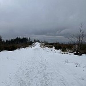 Gregořicovi na vrcholu Kozubová (3.2.2024 11:49)