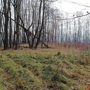 PA!WELL na vrcholu Libhošťská hůrka - VJV (27.11.2022 12:17)