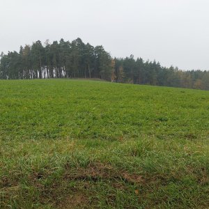 Mykas on the summit of U Lomu (8.11.2024 12:44)