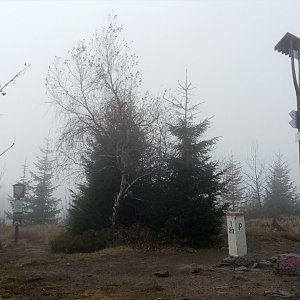 Jiřina na vrcholu Kyčera / Kiczory (1.11.2022 10:49)