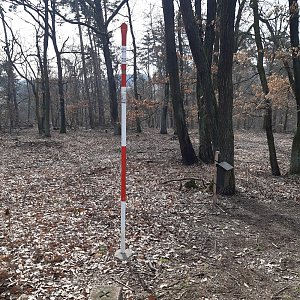 ZdenkaV na vrcholu U hladké skály (19.3.2023 10:42)