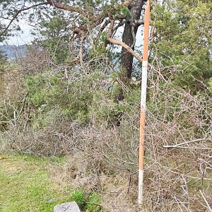 HaKalík na vrcholu Nečtinský Špičák (7.4.2023 15:08)