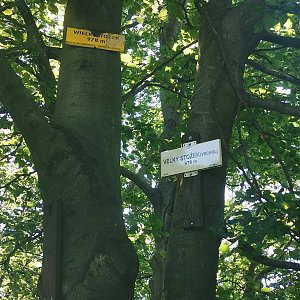 Radim Fcb na vrcholu Velký Stožek / Stożek Wielki (10.7.2021 13:39)