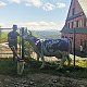 Radim Fcb na vrcholu Velký Stožek / Stożek Wielki