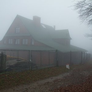 Katka na vrcholu Velký Stožek / Stożek Wielki (14.11.2020 11:30)