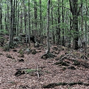 PA!WELL na vrcholu Malinová hora (16.6.2022 16:28)