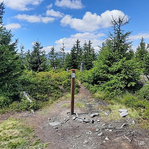 Tomáš Kupsa na vrcholu Lysečina (8.8.2022 12:30)