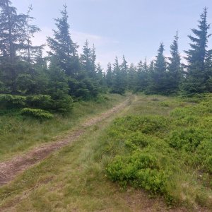 Cyklista 73 na vrcholu Lysečina (10.7.2023 12:31)