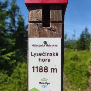daja.cz na vrcholu Lysečina (15.7.2023 16:16)