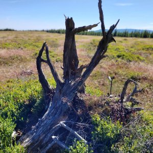 Radek Frantál na vrcholu Lysečina (12.8.2023 15:00)