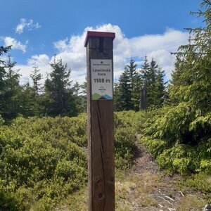 ZdenkaV na vrcholu Lysečina (11.6.2024 15:23)