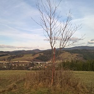 Horalka Anička on the summit of At the Cross (8.4.2022)