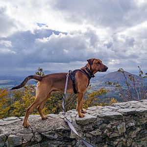 David Paloch na vrcholu Hvozd (23.10.2021 13:32)