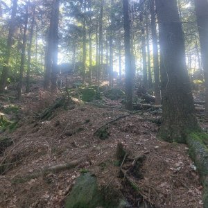 Cyklista 73 na vrcholu Nad Caparticemi (11.8.2023 16:15)