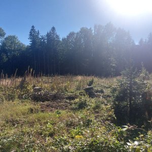 Cyklista 73 na vrcholu Plesno (11.8.2023 17:15)