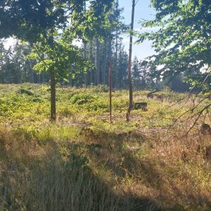 Cyklista 73 na vrcholu Jindřichova Hora (11.8.2023 17:40)