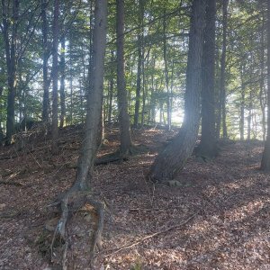 Cyklista 73 na vrcholu Jezevčí díry (11.8.2023 18:19)