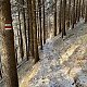 Jiří Šrámek na vrcholu Folvark (15.1.2022 15:05)