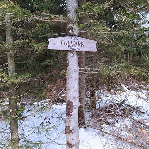 Lucca na vrcholu Folvark (3.1.2021 9:30)