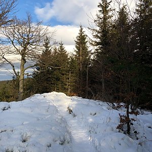 Janča na vrcholu Folvark (3.1.2021 10:21)