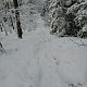 Zdeňka Máchová na vrcholu Folvark (26.1.2021 13:14)