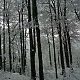 Zdeňka Máchová na vrcholu Folvark (26.1.2021 13:14)