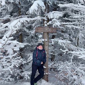 Evík na vrcholu Folvark (13.2.2021 12:33)