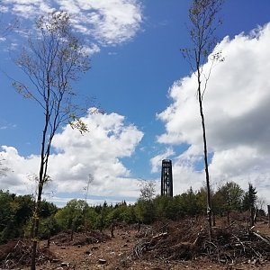Jakub Kudla na vrcholu Kelčský Javorník (6.6.2020 12:30)
