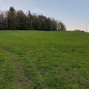 Mykas on the summit of Na Hřebenu (26.4.2025 19:20)