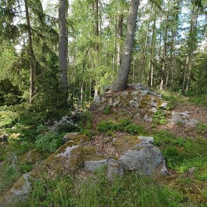 Nojby on the summit of Obora S (18.6.2024 16:51)