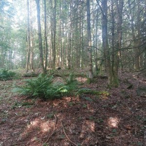 Cyklista 73 na vrcholu Mošna (11.8.2023 8:08)