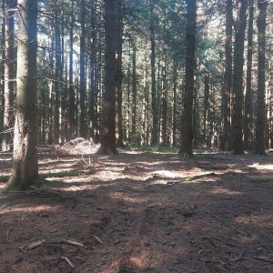 Cyklista 73 na vrcholu Pivoňské hory (11.8.2023 9:41)