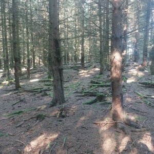 Cyklista 73 na vrcholu Stráž (11.8.2023 8:51)