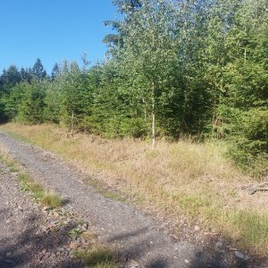 Cyklista 73 na vrcholu U Korytan (11.8.2023 9:20)