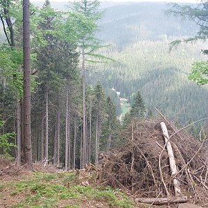 Cyklista 73 na vrcholu Oslí vrch (13.5.2022 12:26)