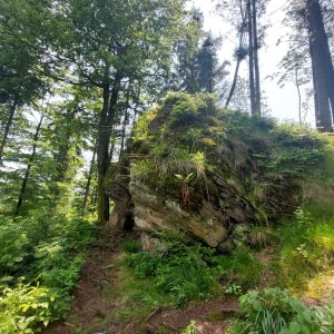 Ila na vrcholu Szarcula (5.6.2025)
