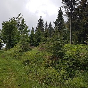 Marcela Kubíčková na vrcholu Beskidek (28.5.2022 14:05)