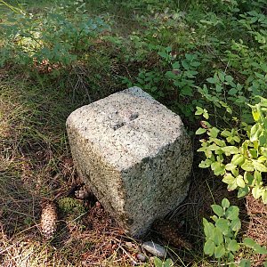 Šárka na vrcholu Beskidek (3.9.2022 10:55)