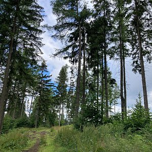 Mertelici na tripu na vrcholu Pańszczyca (15.7.2022 10:05)