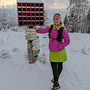 coccobello na vrcholu Skalka (8.1.2021 15:15)
