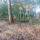 Cyklista 73 na vrcholu Bezvěrovský vrch (11.8.2023 6:32)