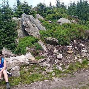 Michal na vrcholu Źmijowiec J1 (8.7.2017 10:52)