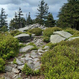 Marcela on the summit of Czarna Góra (26.5.2024 14:32)