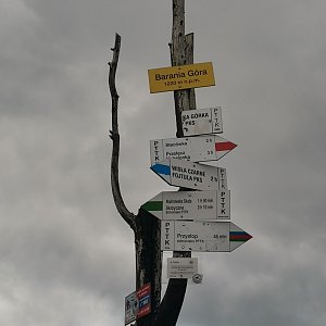 Šárka na vrcholu Barania Góra (3.9.2022 13:01)